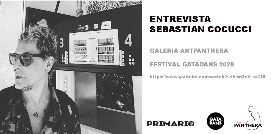 Entrevista Sebastian Cocucci , Galería ART PANTHERA, para festival GATADANS 2020